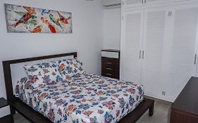 Apartment Old Town Reina Sofia 3